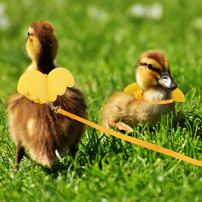 Duck Walking Harness and Leash Chicken Duck Outdoor Training Rope Adjustable Rope for Pet Poultry Hen Cock (M, Yellow)
