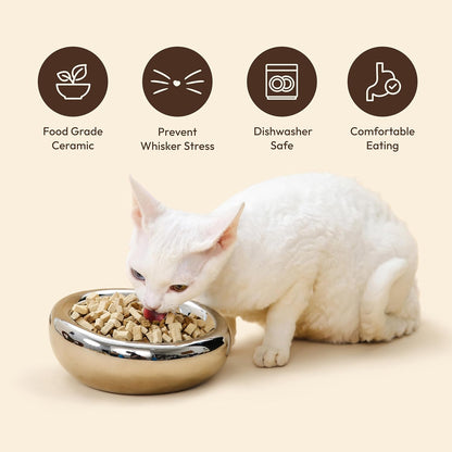 Pebble Pet Bowl Flat Yellow, Ergonomic Dog Cat Feeding Bowl, Flat-Faced Breed, Tilted Ceramic Pet Food Dish, Scooper Eater, Anti-Spill Design, Dishwasher Safe, Modern Pet Bowl, Dry & Wet Diet