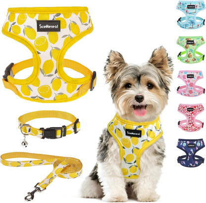 Small Dog Harness Collar and Leash Set, Lemon Yellow, S | Soft Mesh Puppy Harness, Spring Summer No Pull Vest for Dogs Cats Girls Boys, Chihuahua, Yorkie