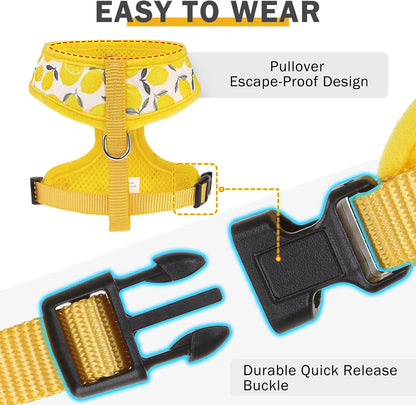 Small Dog Harness Collar and Leash Set, Lemon Yellow, S | Soft Mesh Puppy Harness, Spring Summer No Pull Vest for Dogs Cats Girls Boys, Chihuahua, Yorkie