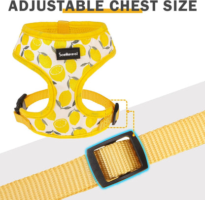 Small Dog Harness Collar and Leash Set, Lemon Yellow, S | Soft Mesh Puppy Harness, Spring Summer No Pull Vest for Dogs Cats Girls Boys, Chihuahua, Yorkie