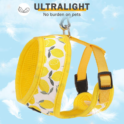 Small Dog Harness Collar and Leash Set, Lemon Yellow, S | Soft Mesh Puppy Harness, Spring Summer No Pull Vest for Dogs Cats Girls Boys, Chihuahua, Yorkie