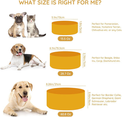 28.7OZ Ceramic Dog and Cat Bowl, Modern Cute Weighted Food Water Bowl for Replacement Yellow (1 Pack)
