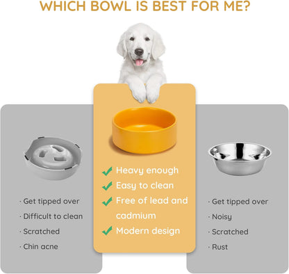 28.7OZ Ceramic Dog and Cat Bowl, Modern Cute Weighted Food Water Bowl for Replacement Yellow (1 Pack)