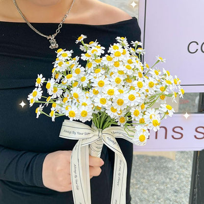 Small White Daisy Flowers Artificial,2 Bouquet/12Pcs 10 Inch Fake Daisies | Cute,Realistic,Spring Wild Flower for Party Decor (Vase Not Included)