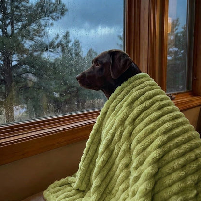 Emotional Support Blanket Yellow for Dogs - Calming Dog Blanket for Anxiety Relief - Soft Plush Pet Throw for Thunders & Travel - Machine Washable Security Blanket (27.56 * 39.37",Pink)