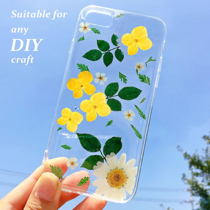 60PCS Dried Pressed Flowers, Natural Real Yellow Hydrangea Dry Flowers for Resin DIY Candle Soap Vase Making Card Scrapbook Jewelry Art Craft Floral Decors