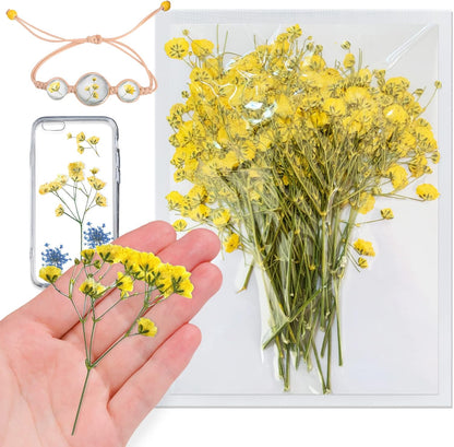 Yellow Natural Dried Flowers Gypsophila with Stem for Resin, 42PCS Real Pressed Babysbreath Flowers, Dry Flowers for Resin Jewelry DIY Phone Case Crafts Candle Making House Decor