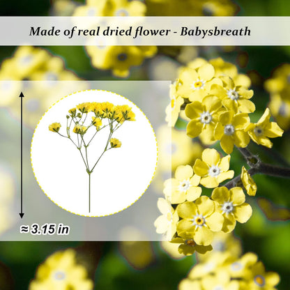 Yellow Natural Dried Flowers Gypsophila with Stem for Resin, 42PCS Real Pressed Babysbreath Flowers, Dry Flowers for Resin Jewelry DIY Phone Case Crafts Candle Making House Decor