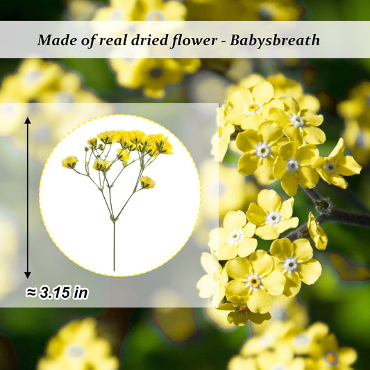 Yellow Natural Dried Flowers Gypsophila with Stem for Resin, 42PCS Real Pressed Babysbreath Flowers, Dry Flowers for Resin Jewelry DIY Phone Case Crafts Candle Making House Decor