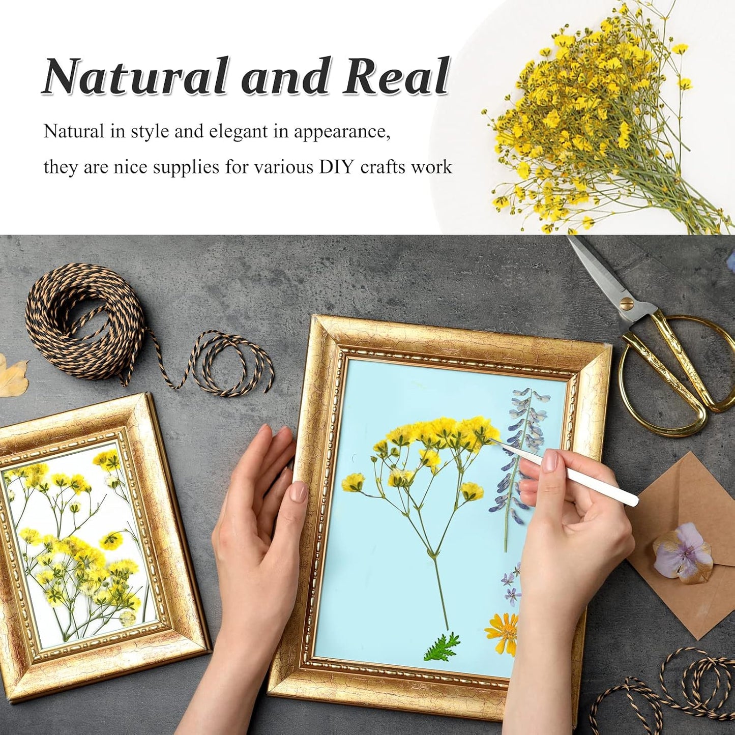 Yellow Natural Dried Flowers Gypsophila with Stem for Resin, 42PCS Real Pressed Babysbreath Flowers, Dry Flowers for Resin Jewelry DIY Phone Case Crafts Candle Making House Decor