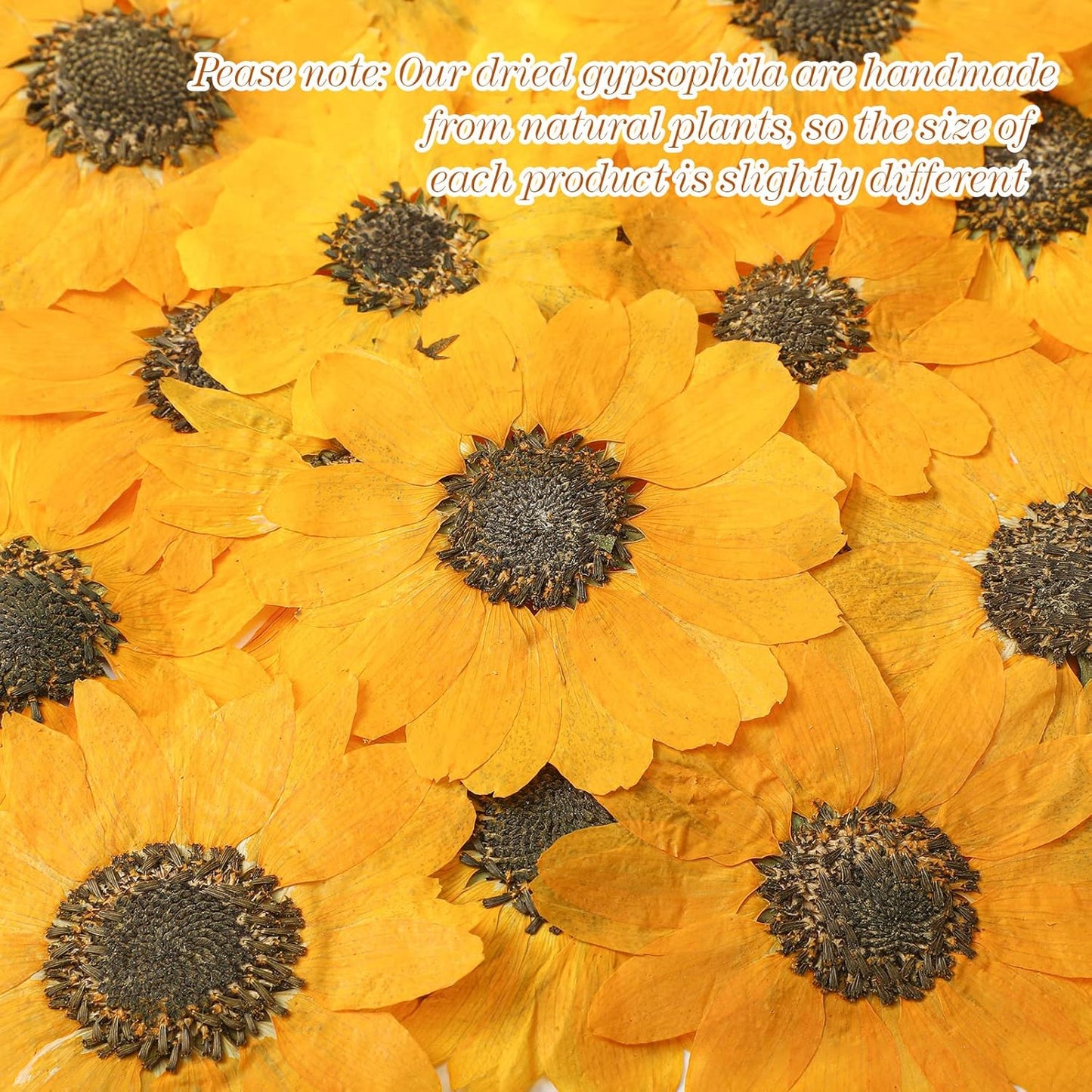 48 Pcs Dried Sunflowers Fall Pressed Flowers for Crafts Mini Sunflowers Petals Nature Pressed Yellow Dried Flowers for Resin Molds Candle Making Soap DIY Art Scrapbooking Supplies
