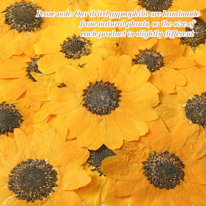 48 Pcs Dried Sunflowers Fall Pressed Flowers for Crafts Mini Sunflowers Petals Nature Pressed Yellow Dried Flowers for Resin Molds Candle Making Soap DIY Art Scrapbooking Supplies
