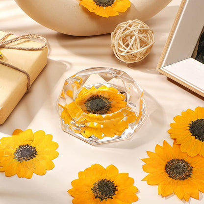 48 Pcs Dried Sunflowers Fall Pressed Flowers for Crafts Mini Sunflowers Petals Nature Pressed Yellow Dried Flowers for Resin Molds Candle Making Soap DIY Art Scrapbooking Supplies