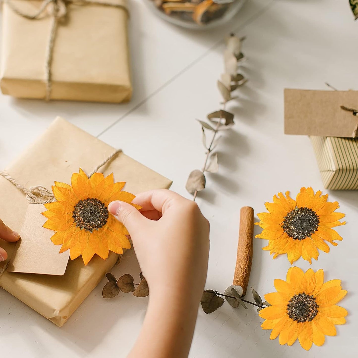 48 Pcs Dried Sunflowers Fall Pressed Flowers for Crafts Mini Sunflowers Petals Nature Pressed Yellow Dried Flowers for Resin Molds Candle Making Soap DIY Art Scrapbooking Supplies