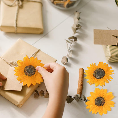 48 Pcs Dried Sunflowers Fall Pressed Flowers for Crafts Mini Sunflowers Petals Nature Pressed Yellow Dried Flowers for Resin Molds Candle Making Soap DIY Art Scrapbooking Supplies