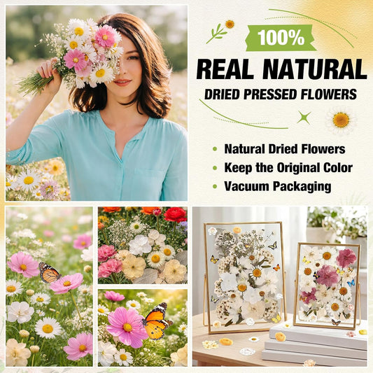 160 Pcs Pressed Flowers Bulk Real Natural Dried Flowers for Craft Resin Set Pressed Flower with Butterfly Stickers for DIY Jewelry Floral Decors Making Nail Art(Vintage,Light Yellow)