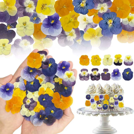 80 Pcs 10 Types Dried Edible Flowers Pressed for Cake Decorating | Natural Flower Mix for Cupcake Toppers Cocktail Garnish Dessert Decor Baking Supplies Resin Jewelry Making DIY Crafts