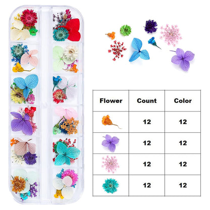 Dried Flowers for Resin Craft Nail Art Mix Small Mini Dry Flowers (Pack of 6 Boxes, About 260 PCS)