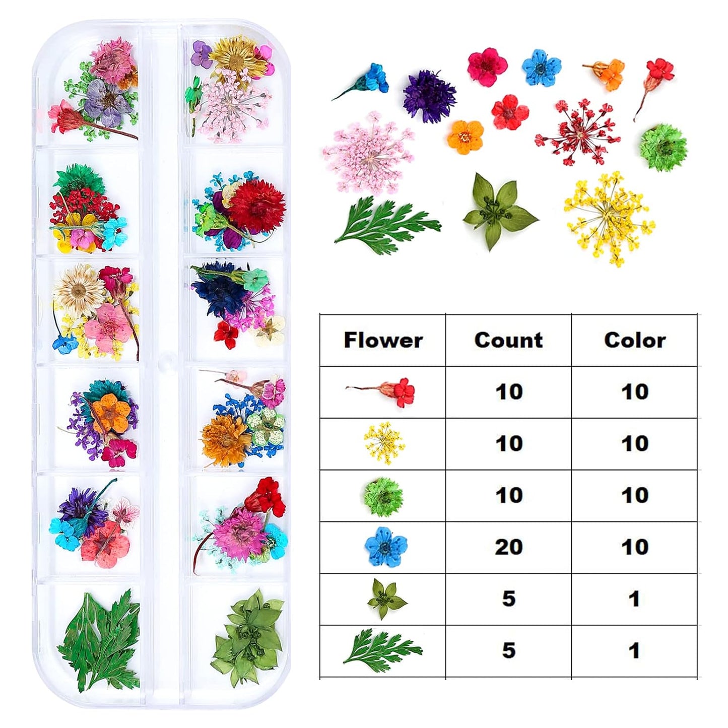 Dried Flowers for Resin Craft Nail Art Mix Small Mini Dry Flowers (Pack of 6 Boxes, About 260 PCS)