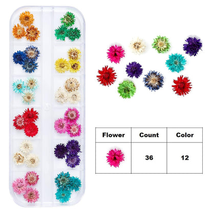 Dried Flowers for Resin Craft Nail Art Mix Small Mini Dry Flowers (Pack of 6 Boxes, About 260 PCS)