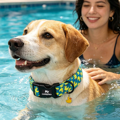 ·MR.CHUBBYFACE· Summer Dog Collar, Cute Yellow Duck Pet Collar for Pup Small Medium Large Boy Girl Dogs, Ideal for Beach Park Pool Walks-M