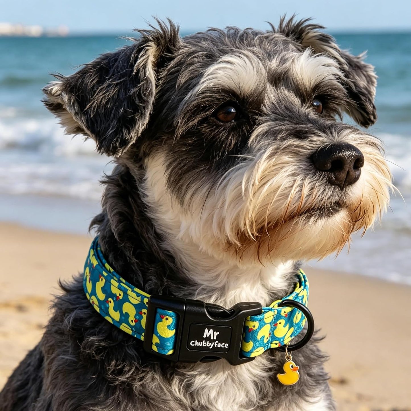 ·MR.CHUBBYFACE· Summer Dog Collar, Cute Yellow Duck Pet Collar for Pup Small Medium Large Boy Girl Dogs, Ideal for Beach Park Pool Walks-M