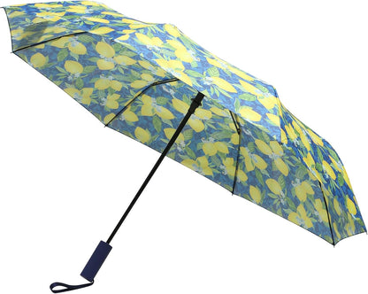 Compact Travel Umbrella with Auto Open – Windproof Folding Umbrella, Lightweight & Portable for Rain