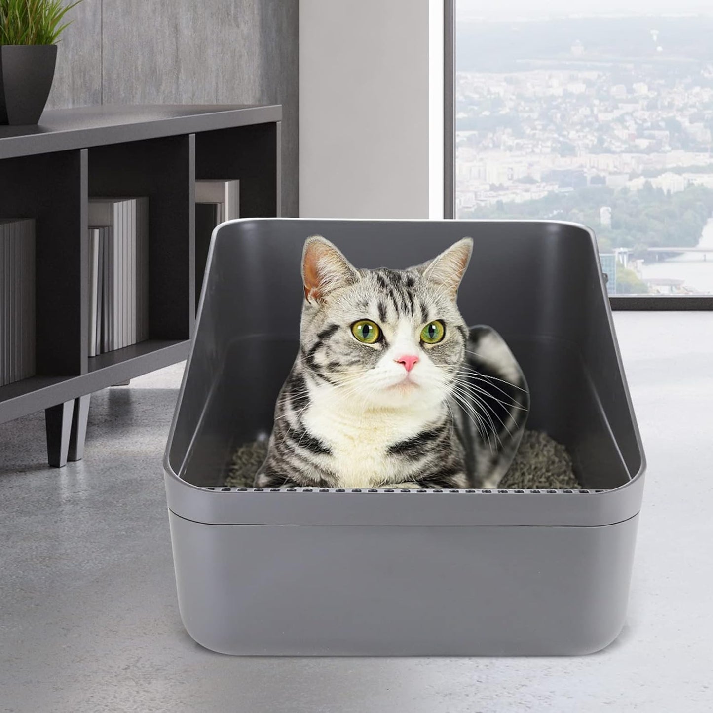 Small Cat Litter Box: Leak Resistant Durable Removable Tray | Cats Under 8 lbs / Anti Tracking Pedal / Easy Cleaning / Space Saving / Indoor Apartment Use