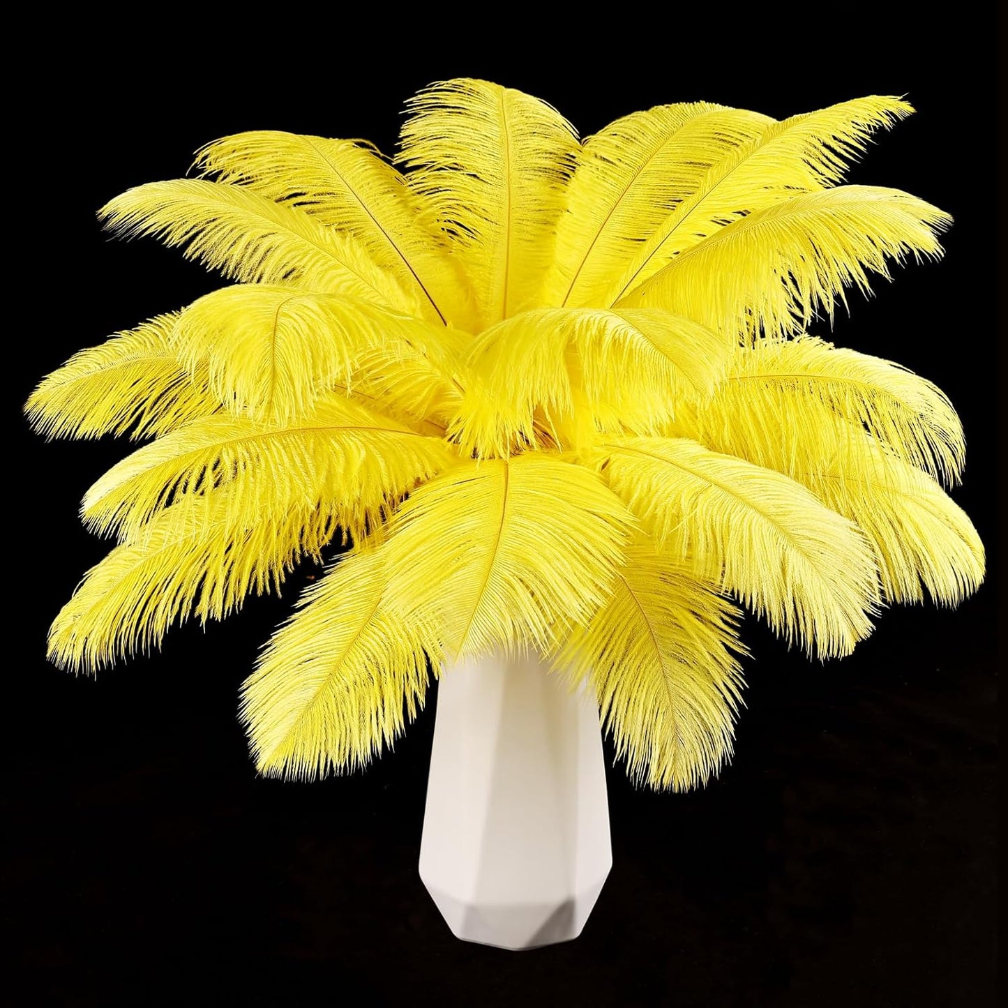 Yellow Ostrich Feathers 24pcs Natural Bulk 8-10Inch 20cm-25cm for Crafts Wedding Party Centerpieces Halloween and Home Decoration Feathers