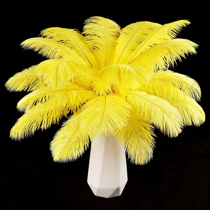 Yellow Ostrich Feathers 24pcs Natural Bulk 8-10Inch 20cm-25cm for Crafts Wedding Party Centerpieces Halloween and Home Decoration Feathers