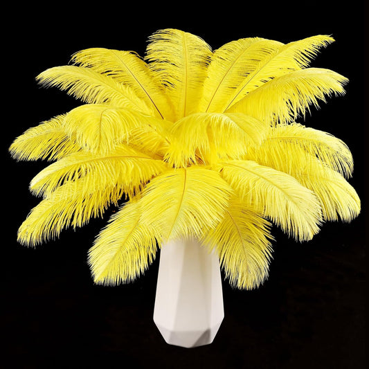 Yellow Ostrich Feathers 24pcs Natural Bulk 8-10Inch 20cm-25cm for Crafts Wedding Party Centerpieces Halloween and Home Decoration Feathers