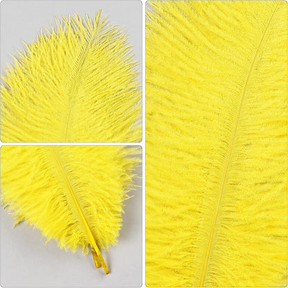 Yellow Ostrich Feathers 24pcs Natural Bulk 8-10Inch 20cm-25cm for Crafts Wedding Party Centerpieces Halloween and Home Decoration Feathers