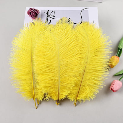 Yellow Ostrich Feathers 24pcs Natural Bulk 8-10Inch 20cm-25cm for Crafts Wedding Party Centerpieces Halloween and Home Decoration Feathers