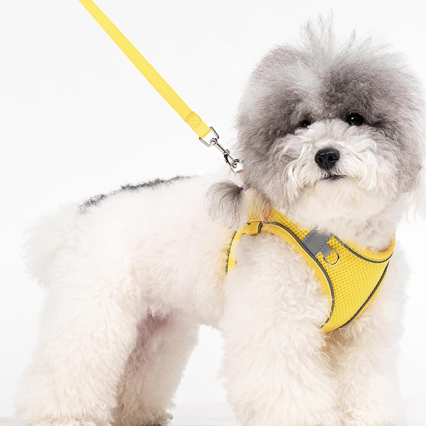 Dog Harness for Small Medium Sized Dog, Puppy Harness and Leash Set Training, Dog Harness and Leash Set, Dog Vest Harness, Dog Harness Small Sized Dog, Small Dog Harness. (Yellow, M)