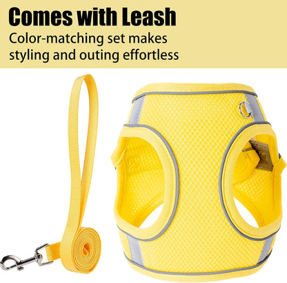 Dog Harness for Small Medium Sized Dog, Puppy Harness and Leash Set Training, Dog Harness and Leash Set, Dog Vest Harness, Dog Harness Small Sized Dog, Small Dog Harness. (Yellow, M)
