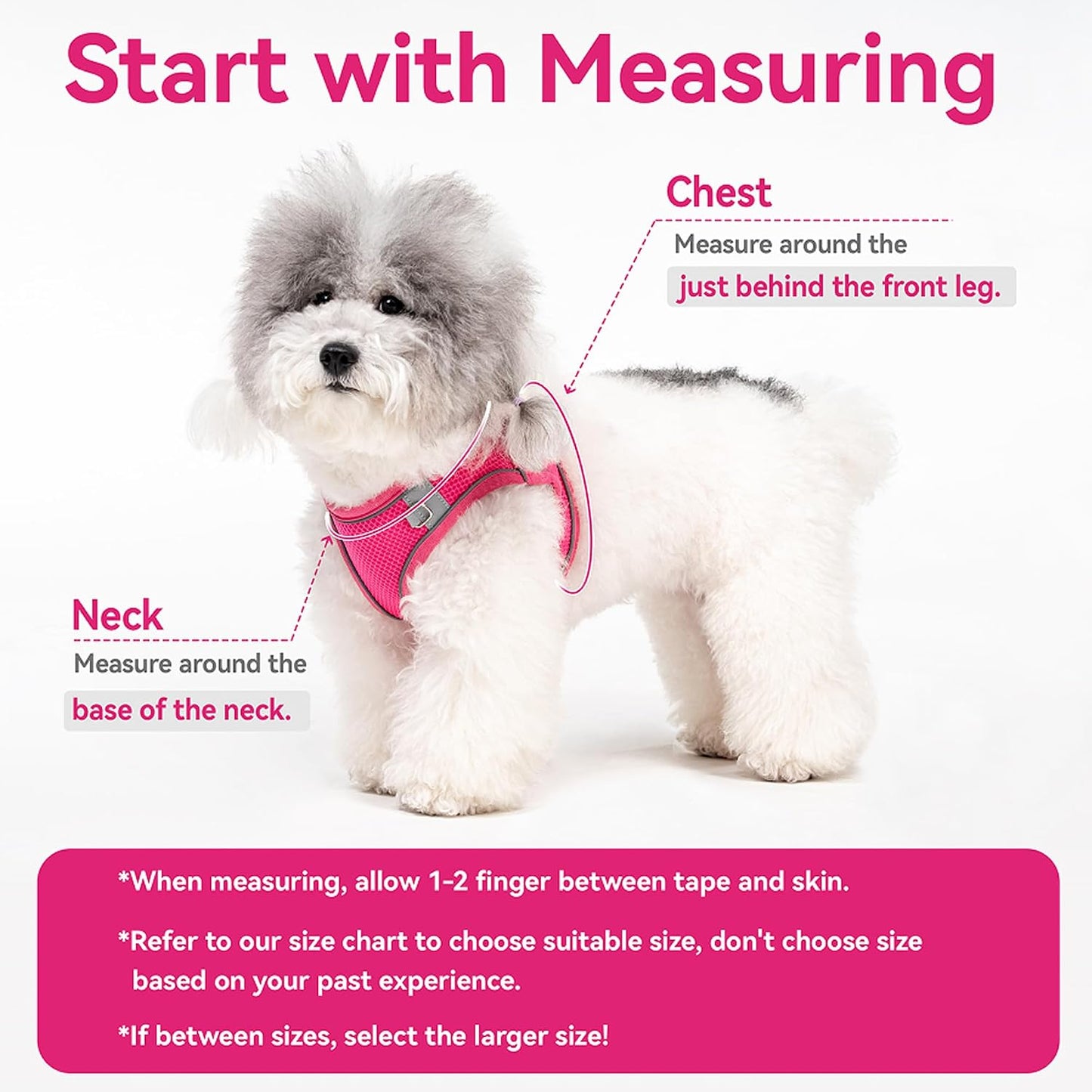 Dog Harness for Small Medium Sized Dog, Puppy Harness and Leash Set Training, Dog Harness and Leash Set, Dog Vest Harness, Dog Harness Small Sized Dog, Small Dog Harness. (Yellow, M)