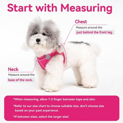 Dog Harness for Small Medium Sized Dog, Puppy Harness and Leash Set Training, Dog Harness and Leash Set, Dog Vest Harness, Dog Harness Small Sized Dog, Small Dog Harness. (Yellow, M)