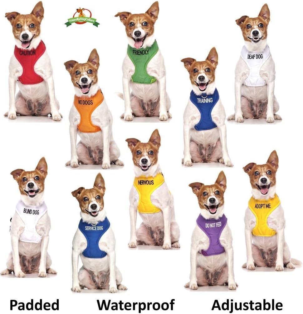 Nervous (Give Me Space) Yellow Colour Coded Non-Pull Front and Back D Ring Padded and Waterproof Vest Dog Harness Prevents Accidents By Warning Others of Your Dog in Advance (S)