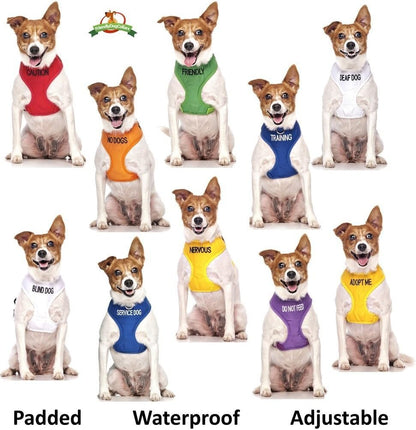 Nervous (Give Me Space) Yellow Colour Coded Non-Pull Front and Back D Ring Padded and Waterproof Vest Dog Harness Prevents Accidents By Warning Others of Your Dog in Advance (S)