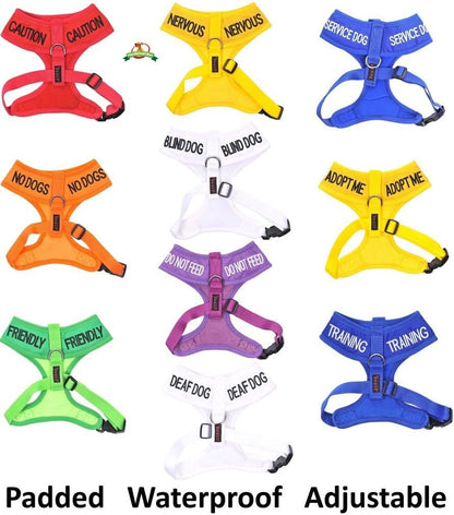 Nervous (Give Me Space) Yellow Colour Coded Non-Pull Front and Back D Ring Padded and Waterproof Vest Dog Harness Prevents Accidents By Warning Others of Your Dog in Advance (S)