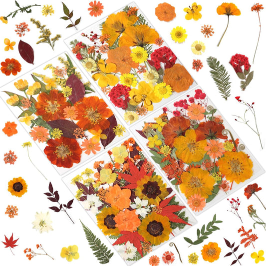 120P Yellow Orange Red Dried Pressed Flowers | Warm cozy gradient, maple leaves, varied blooms, for Thanksgiving resin jewelry scrapbook frame candle, tweezers included