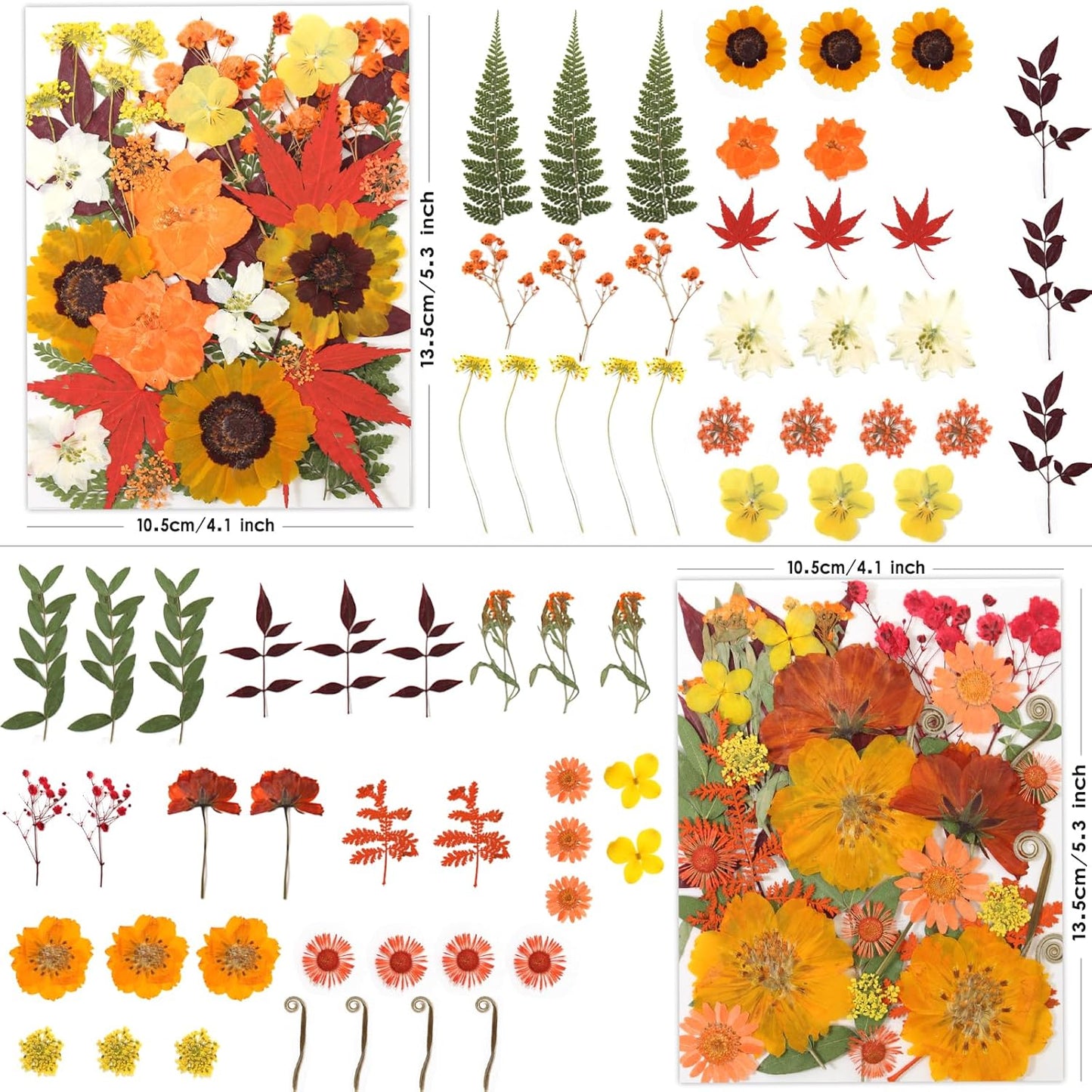 120P Yellow Orange Red Dried Pressed Flowers | Warm cozy gradient, maple leaves, varied blooms, for Thanksgiving resin jewelry scrapbook frame candle, tweezers included