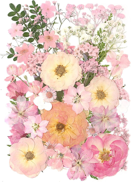 14 Types Pink Dried Pressed Flowers for Craft, Leaf Plant Herbarium for Resin Molds Jewelry Making Floral Decors (Peach Fuzz)