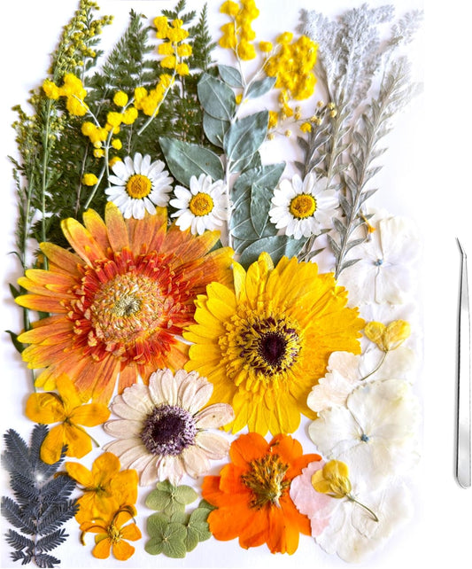 A4 Large Dried Pressed Flowers for Resin Real Dry Natural Flowers Leaves for Resin Mold Cake Candle Making Phone Cases Scrapbooking DIY Art Crafts (Yellow+White)