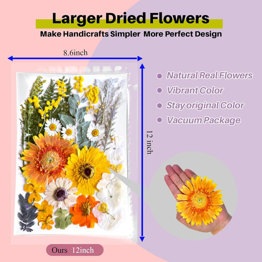 A4 Large Dried Pressed Flowers for Resin Real Dry Natural Flowers Leaves for Resin Mold Cake Candle Making Phone Cases Scrapbooking DIY Art Crafts (Yellow+White)