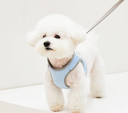 Pastel Basic Dog Harness – Adjustable Lightweight Mesh Pet Vest with D-Ring for Leash, Breathable & Comfortable, Fits Small/Medium Dogs XXS/XS/S, 5 Pastel Colors (Yellow, Small)