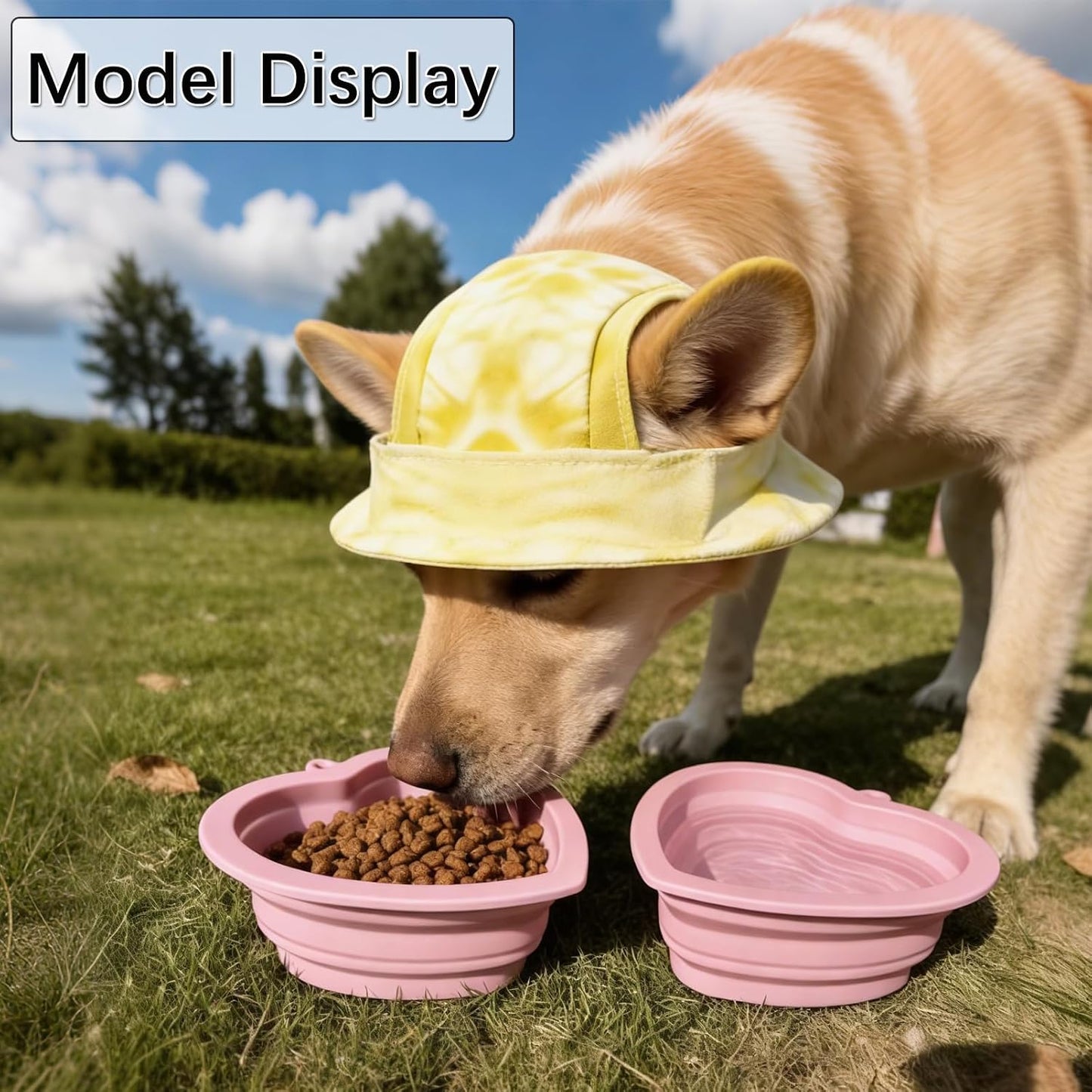 3 Pack Dog Collapsible Bowl & Sun Hat, Pet Cap with Ear Hole, Yellow, S | Adjustable Summer UV protection Fisherman Hats, Portable and Lightweight Feeding Bowls, for Outdoor Travel Walking Hiking