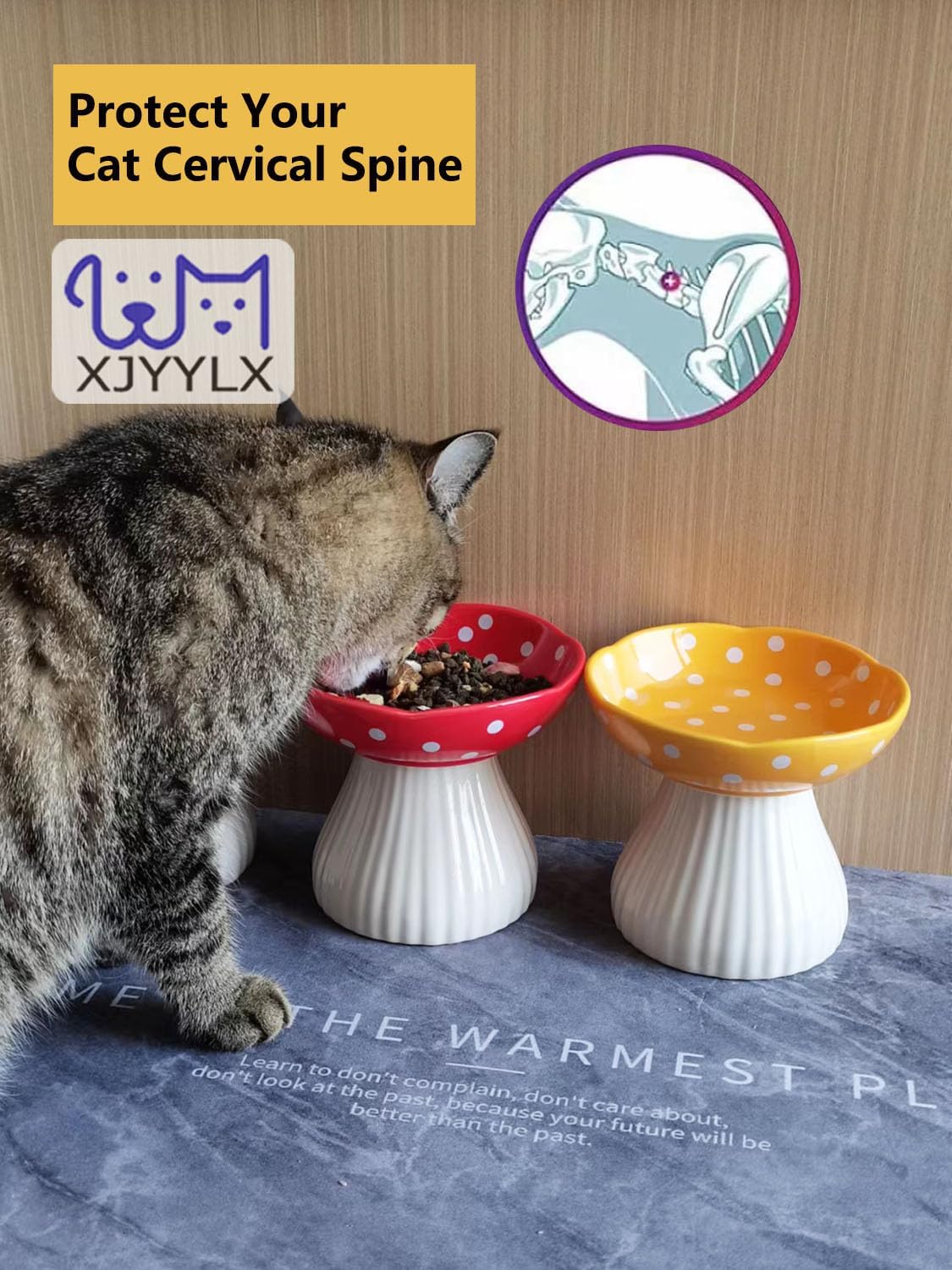 Mushroom Elevated Cat Bowls Ceramic, Cute Cat Bowls Whisker Fatigue | Raised Cat Bowl for Indoor Cats, Raised Dog Bowls Stand for Food and Water, Yellow 6" Wide for Adult Cats