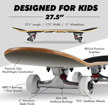 Complete Cruiser Starter Skateboard